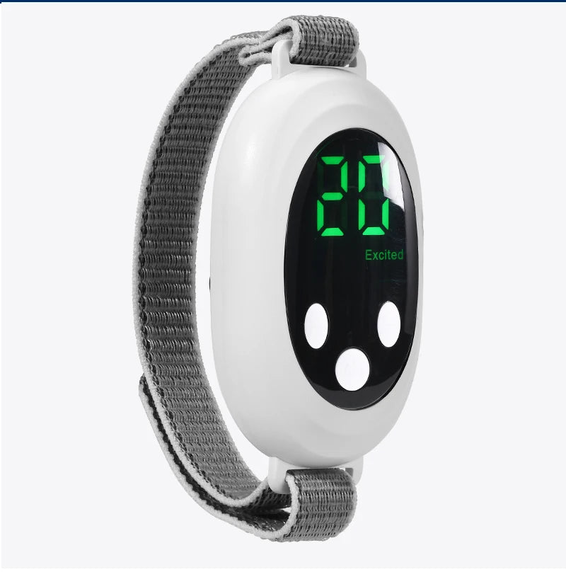 PULSE MASSAGER